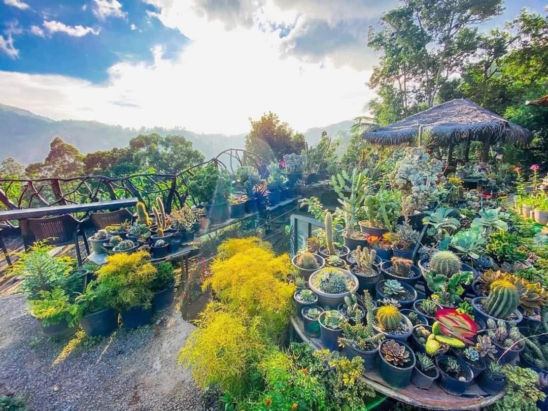 Ella Flower Garden Resort Bagian luar foto