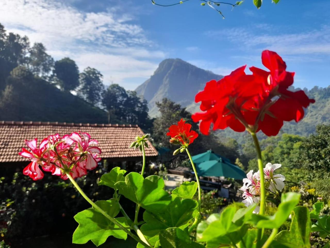 Ella Flower Garden Resort Bagian luar foto