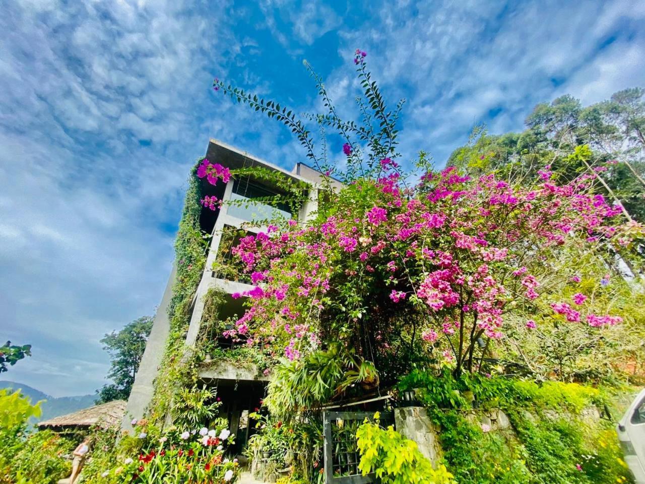 Ella Flower Garden Resort Bagian luar foto